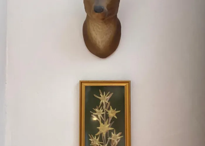 1850 * كورشوفيل